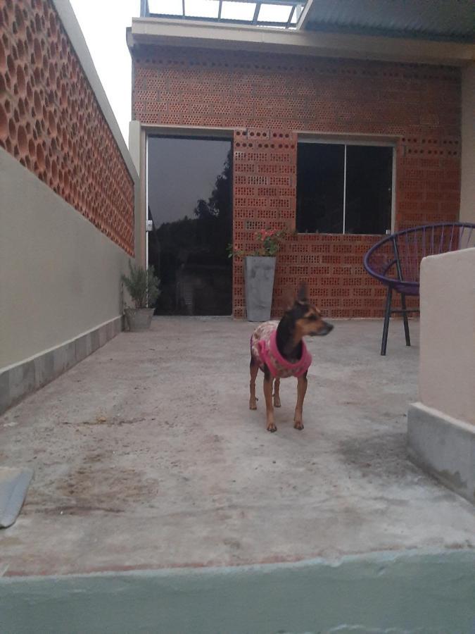 Taguato Apartment Asuncion Exterior foto