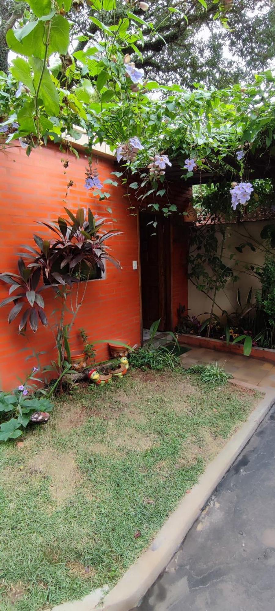 Taguato Apartment Asuncion Exterior foto